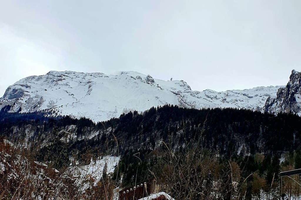 Ferienwohnung Tannenboden Engelberg Exterior foto